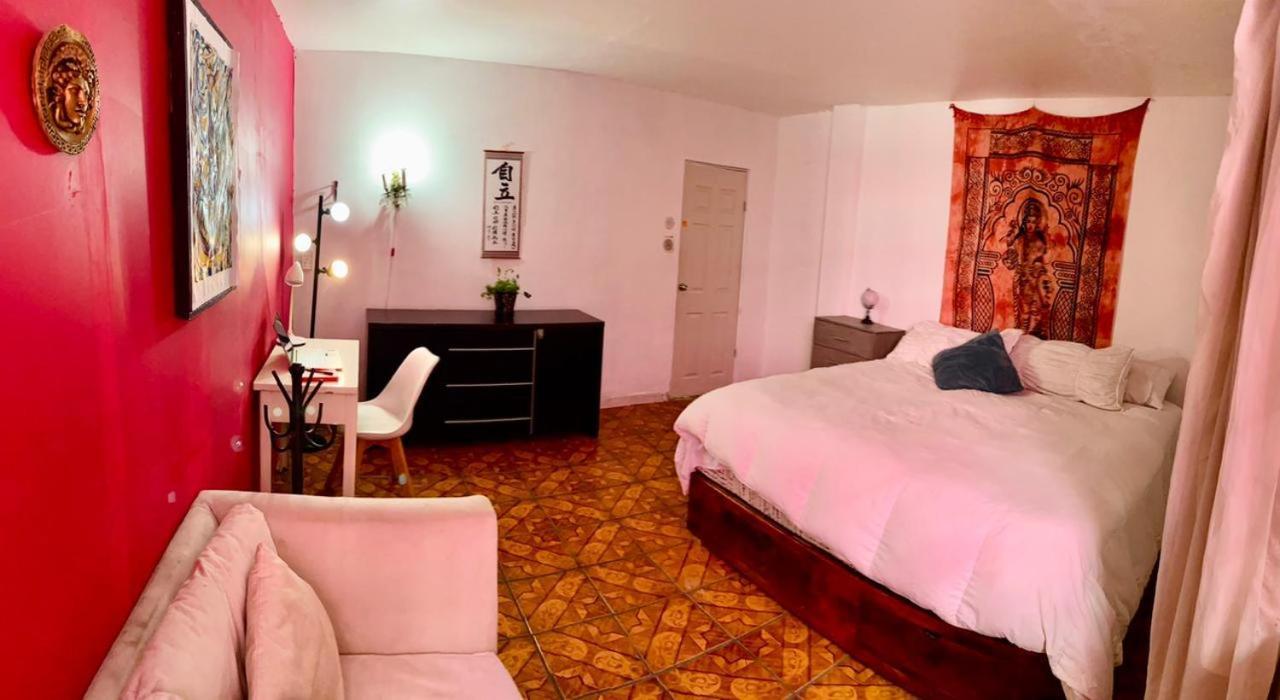 Free Spirit Hostel 과달라하라 외부 사진